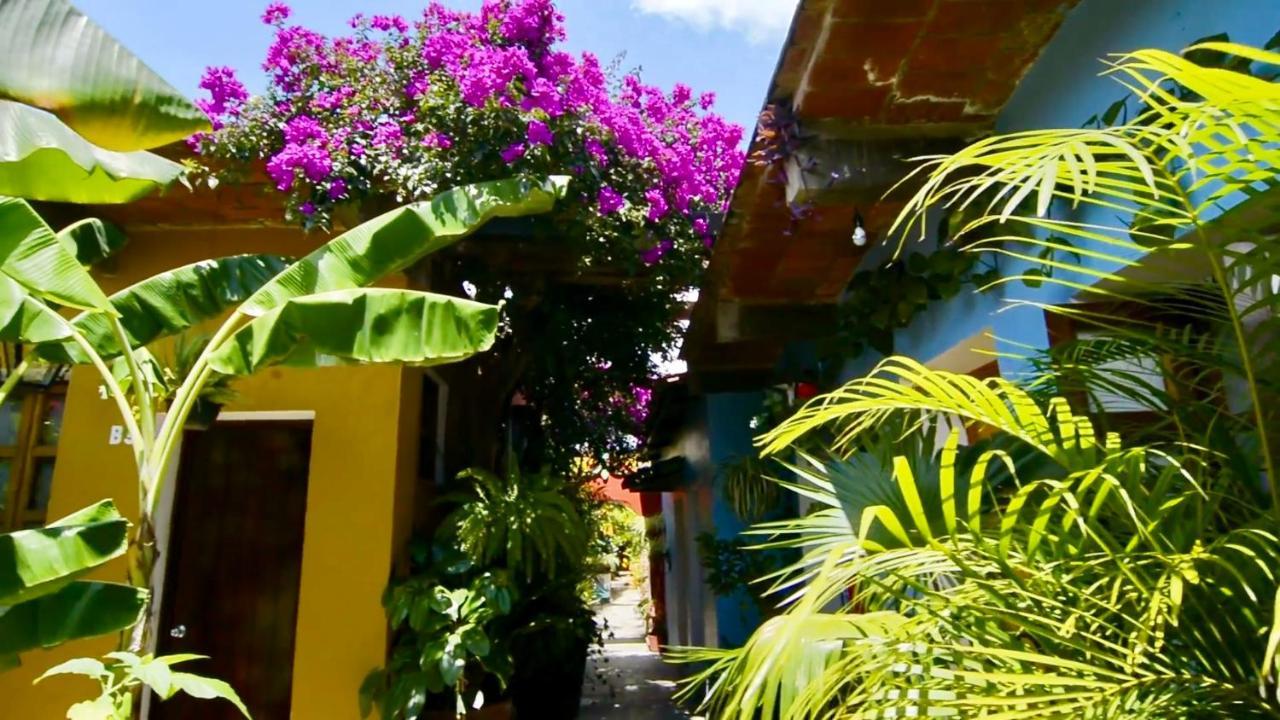 Hotel Las Golondrinas Oaxaca Zewnętrze zdjęcie